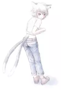 (Reitaisai 13) [Saraband (Shimofusa Saburo)] Chen-chan no Chotto Ecchi na Hon (Touhou Project)