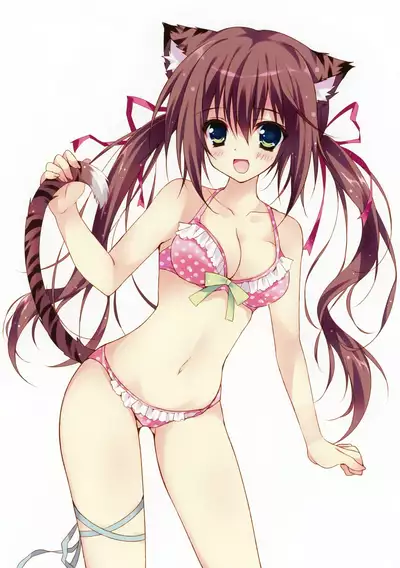 Toranoana Chronicle 2012