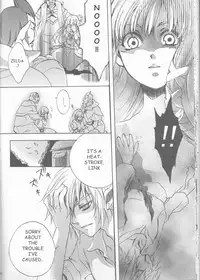 (HaruCC18) [Usagi paradise (Misa)] Hajimete no Natsu. ~The First Summer~ (The Legend of Zelda: Skyward Sword) [English] [morphult]