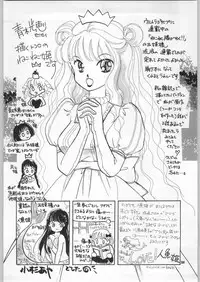 (C59) [Ganso Sonoda Ya (Various)] Chousen Ame Ver.18 Princess