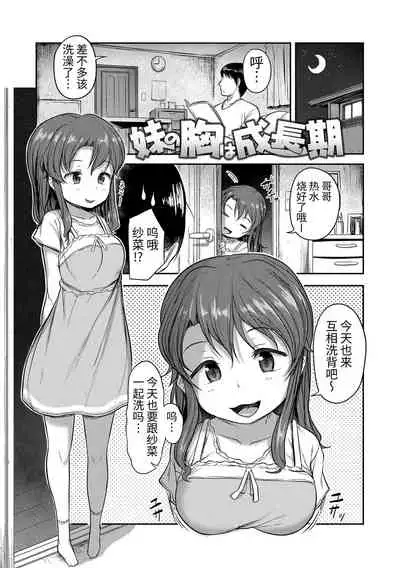 [Hayake] Nani Suru no!? Onii-chan!! | 欧尼酱!?你在干什么!! + 附赠DLsite限定特典 [Chinese] [Digital]