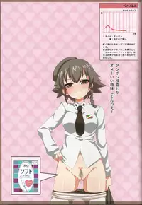 (C91) [Fuji Sengendou (Various)] Senshadou Joshi Seiri Youhin Nukiuchi Kensa Goudou Zenkoku Taikai Hen (Girls und Panzer)