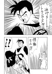 (C47) [Chirigami Goya, Fusuma Goten (Shouji Haruzo)] YY (Dragon Ball Z)