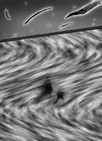 [Popo Doctrine] Catastrophe 5