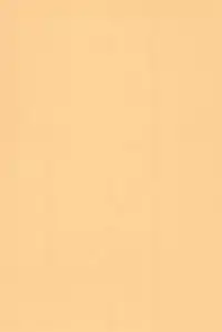 (C74) [Ashinoie (Taryl.)] Hinnyuu Musume 19 (Berserk)