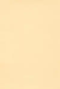 (Reitaisai 14) [Cat Expert (Nekousa)] Chen to Issho -Ohirune mo Issho- (Touhou Project)