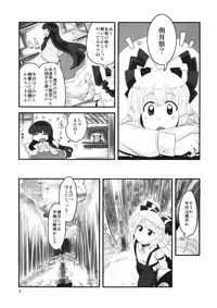 (Reitaisai 8) [RUMP (Bon)] Akai Rekishi ni Ao no Spice San (Touhou Project)