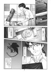 (C51) [Chimatsuriya Honpo (Various)] FSB (Neon Genesis Evangelion)