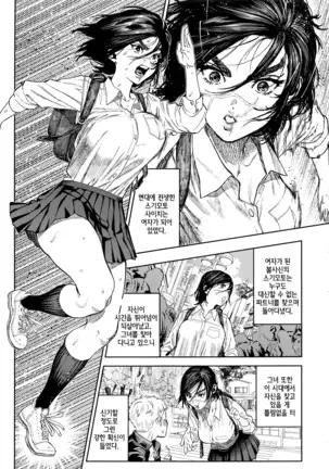 Koisugi | 코이스기