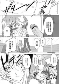 (C69) [Chaotic Arts (Mita Kurumi)] Tane de Mitashite... (Gundam Seed Destiny) [Chinese] [黑条汉化]