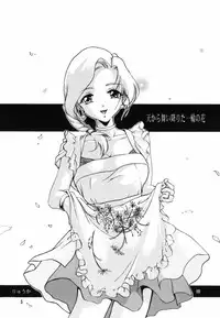(C73) [Barbaroi no Sato (Ryuuka Ryou)] Ten kara Maiorita Ichirin no Hana (Dragon Quest V: Hand of the Heavenly Bride)