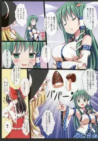 (C92) [Nanmin Festival (Gibuchoko)] Touhou Chireidon ~Touhou Chireiden Shikijousho Soushuuhen~ (Touhou Project)
