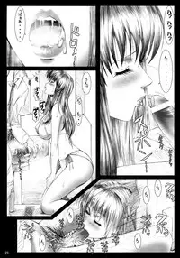 (C68) [Frapper Spirits (Hitsuki)] Oshaburi Gakuen PinSalo-ka 4 (Dead or Alive)