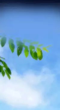 [Hong BanJang] Aharoo Ch.1-26 (English) (YoManga) (Ongoing)