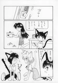 (C51) [Nekomimi Sorcery (Masamineko)] Ebaneko (Neon Genesis Evangelion)