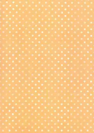 Imoto to hajimemashita