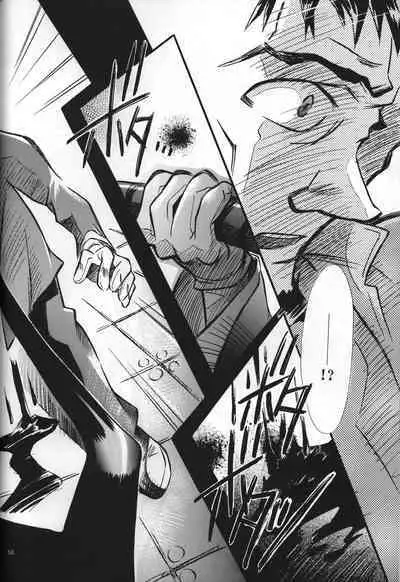 <Shinyaku> neon genesis document G