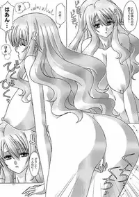 (COMIC1☆4) [Bousou!! Fuhatsudan (Takai Biki)] Himeji Mizuki ga Issho (Baka to Test to Shoukanjuu)