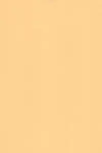 (C74) [Ashinoie (Taryl.)] Hinnyuu Musume 19 (Berserk)