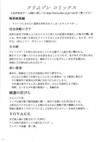 (CT5) [Crimson Comics (Crimson)] Sora to Umi to Daichi to Midasareshi Onna Madoushi 2 (Dragon Quest VIII)