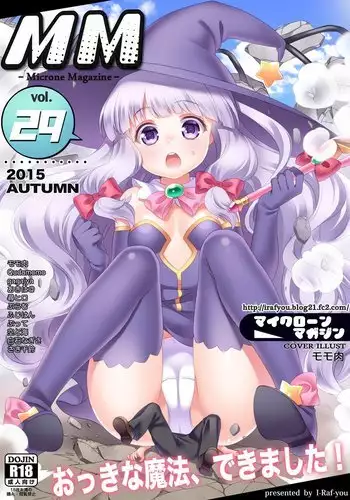 Microne Magazine Vol. 29