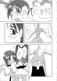 [Chandora, Lunch Box (Makunouchi Isami)] Lunch Box 36 - Ninjin Full Course (Pia Carrot)