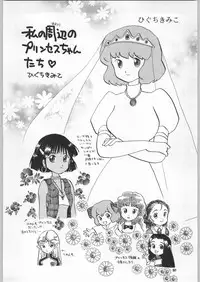 (C59) [Ganso Sonoda Ya (Various)] Chousen Ame Ver.18 Princess