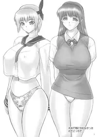 (C71) [Hellabunna (Iruma Kamiri)] Mou Chichi Volley ni Daseba Iijan (Super Black Jack)