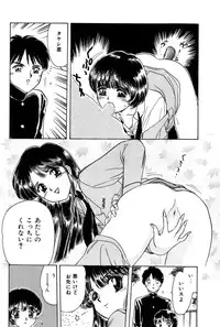 [Fujita Jun] Taste Of Honey