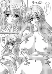 (COMIC1☆4) [Bousou!! Fuhatsudan (Takai Biki)] Himeji Mizuki ga Issho (Baka to Test to Shoukanjuu)